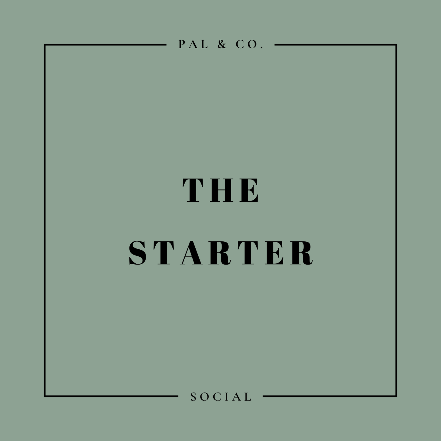 The Starter